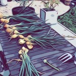 Going Kwasi, Learning Economics!